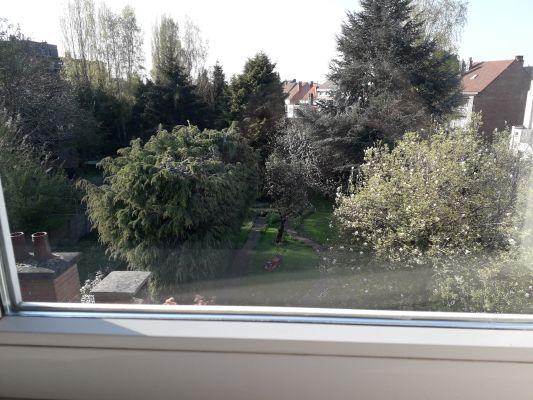 Studio dans une maison familiale nord de Bruxelles location mensuelle ou par trimestre renouvelable